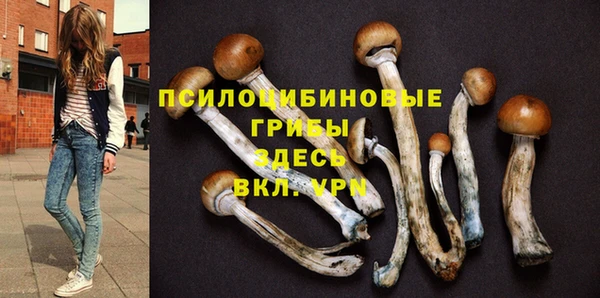 синтетический гашиш Алексеевка