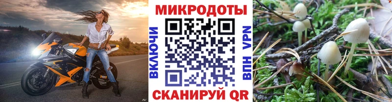Галлюциногенные грибы Psilocybe  Шелехов 