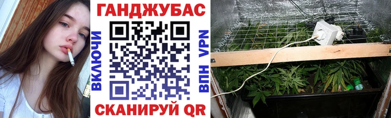 продажа наркотиков  МЕГА зеркало  МАРИХУАНА планчик  Шелехов 
